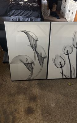 Flower Portraits