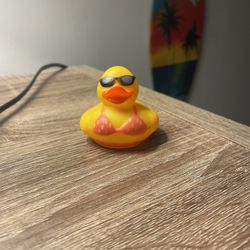 ‼️BAKINI RUBBER DUCK‼️