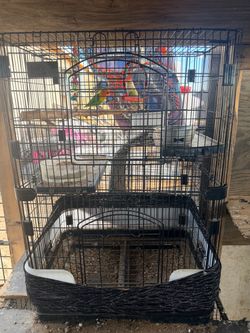 Large Black bird cage $200
