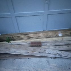 Cedar