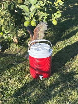 2 GALLON RUBBERMAID JUG