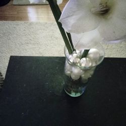 Amazon Lily And Glass Vase