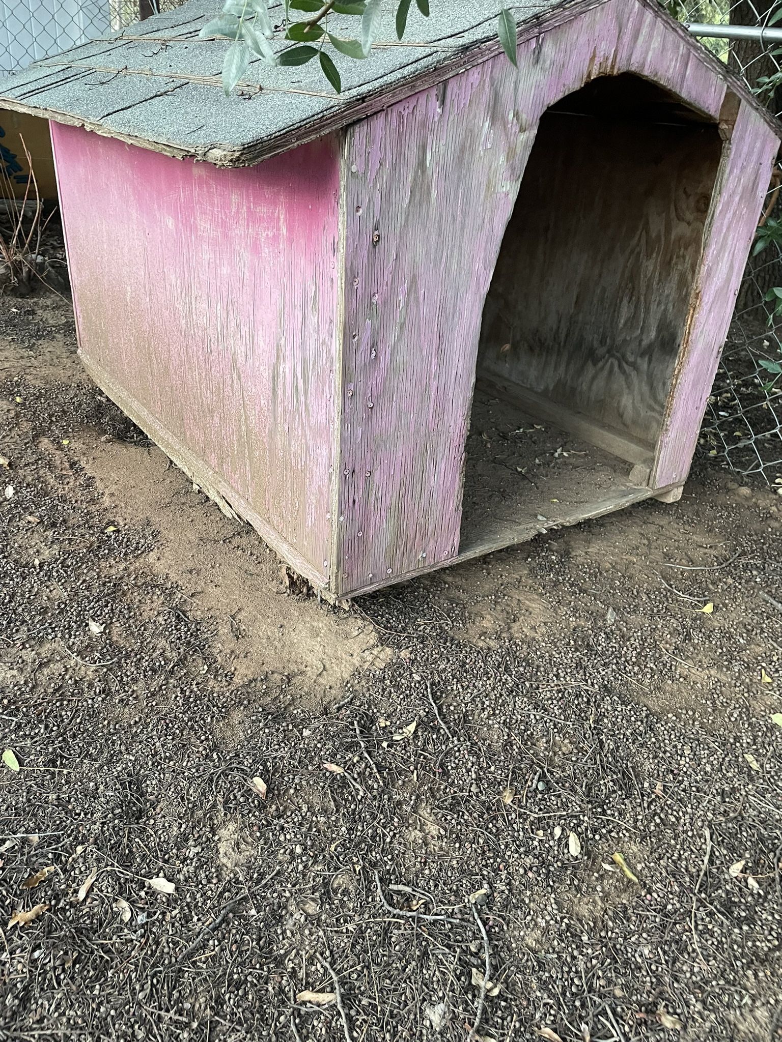 Dog House