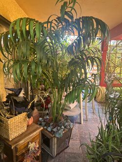 Fake palm tree