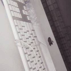 Apple Computer And More