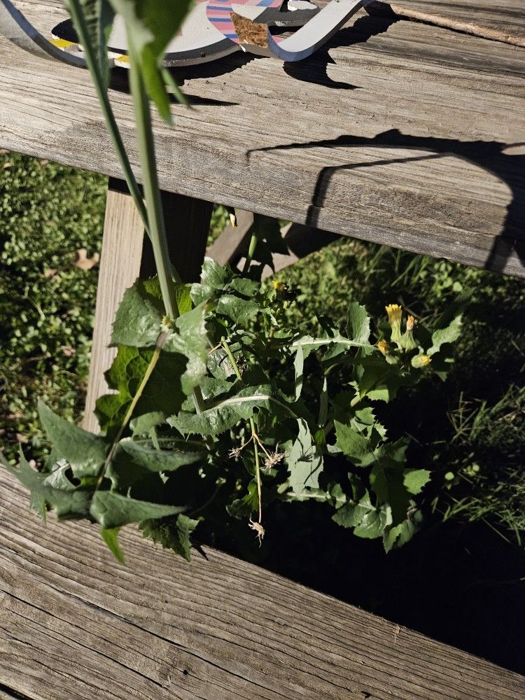 Property For Sale for Sale in Houston, TX - OfferUp