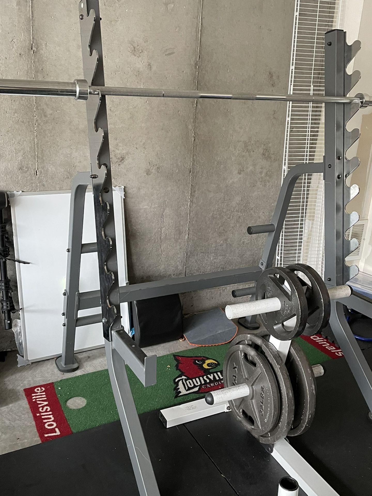 Gym style Squat / bench press rack
