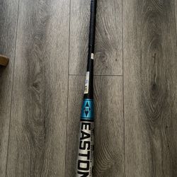 Baseball Bat Easton