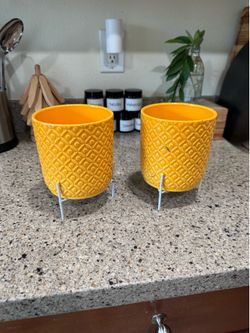 Set of 2 goldenrod yellow planter pot succulent garden plant floral