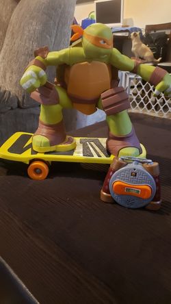 Remote control turtle