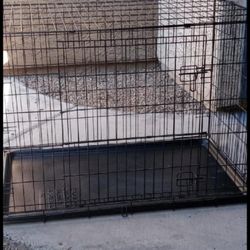 XXL Dog Crate Pickup Between M-F 2:00-5:40 S-S 2:00-4:40 Rainbow/95 Cash Only Read Description 