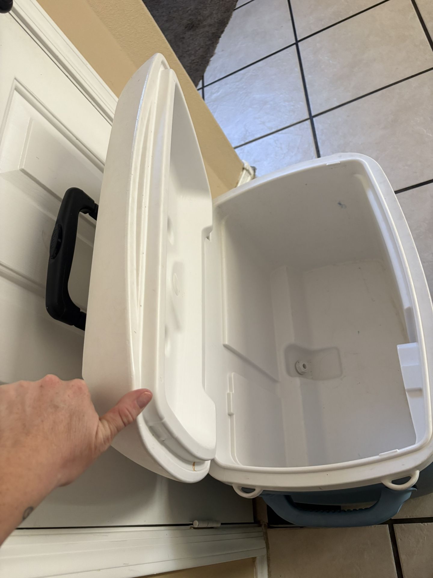 Igloo Coolers