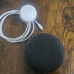 Google Nest Mini (1st Gen)