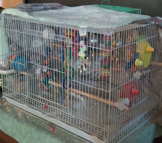 3 FREE Bird Cages