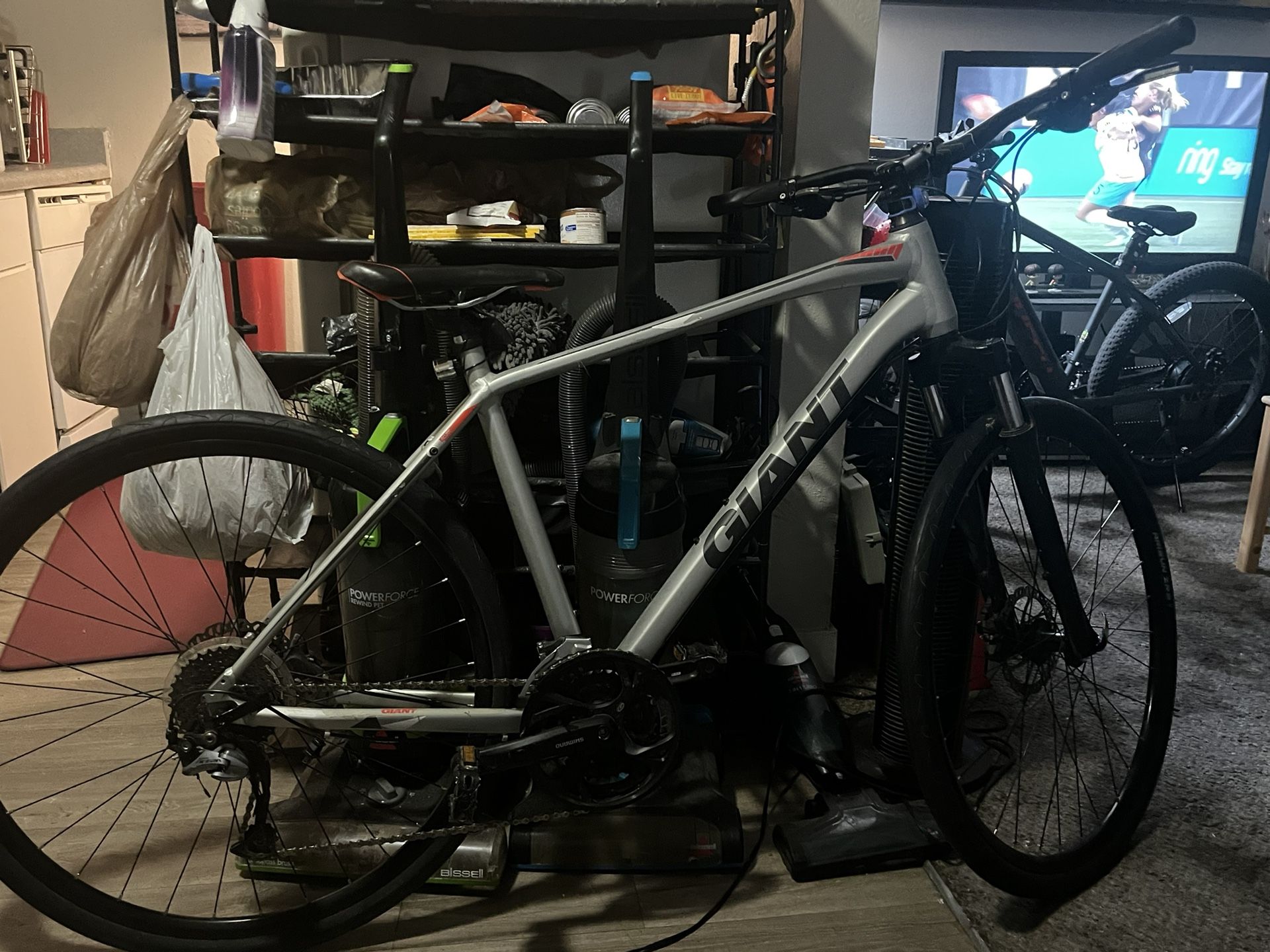 Giant Roam Bike  Alloy Frame 