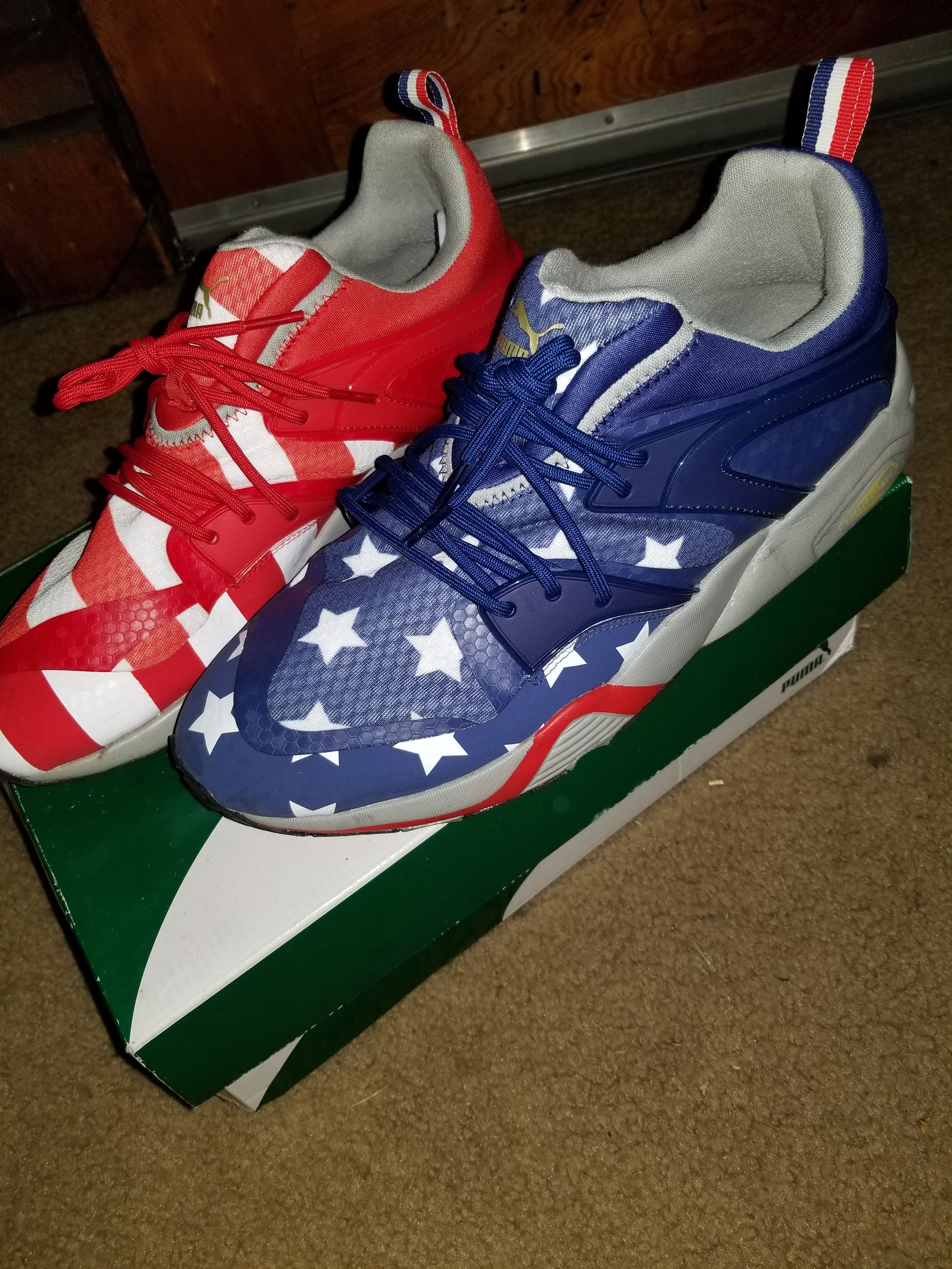 Puma blaze