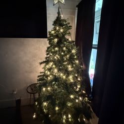 Christmas Tree