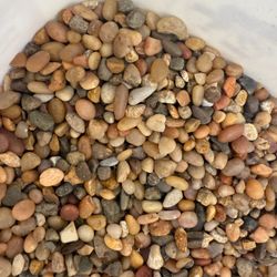 Gravel Fish Tank 