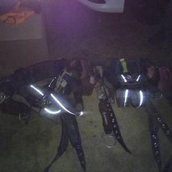 Safety Harness 2 Of Them 