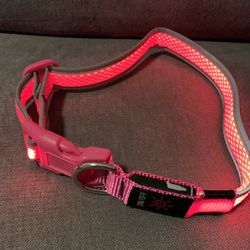 Dog Collar