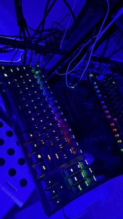 Razer Huntsman TE *barely used*
