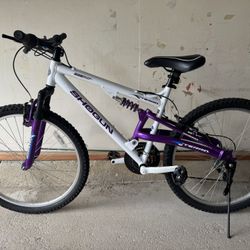 Bike Shogun 26”