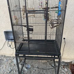 Large Flight Bird Cage