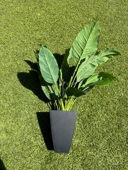 Fake Plant