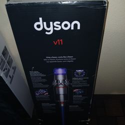 Dyson V11 