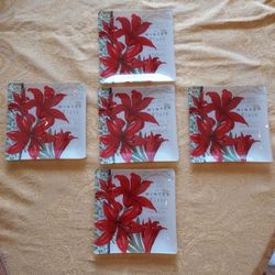 Set Of 5 Coasters/ Small Dishes