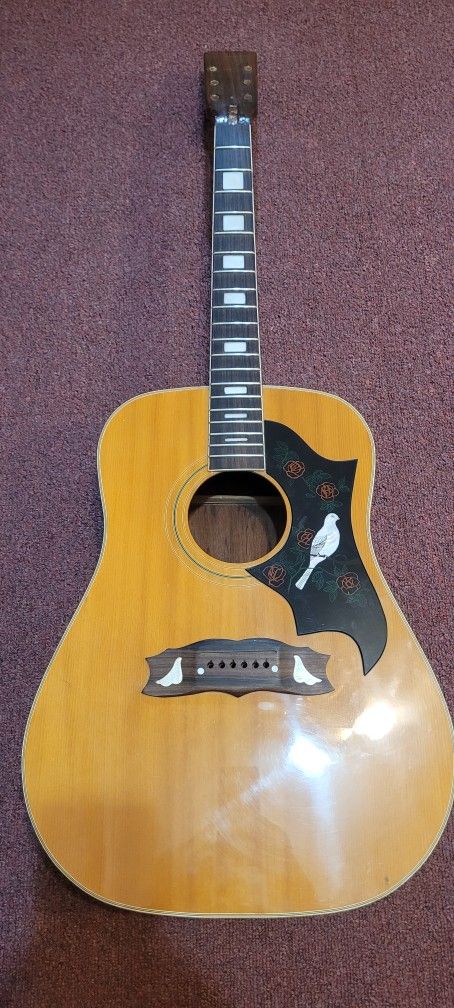 1970s "Dove" Acoustic Guitar for Restoration