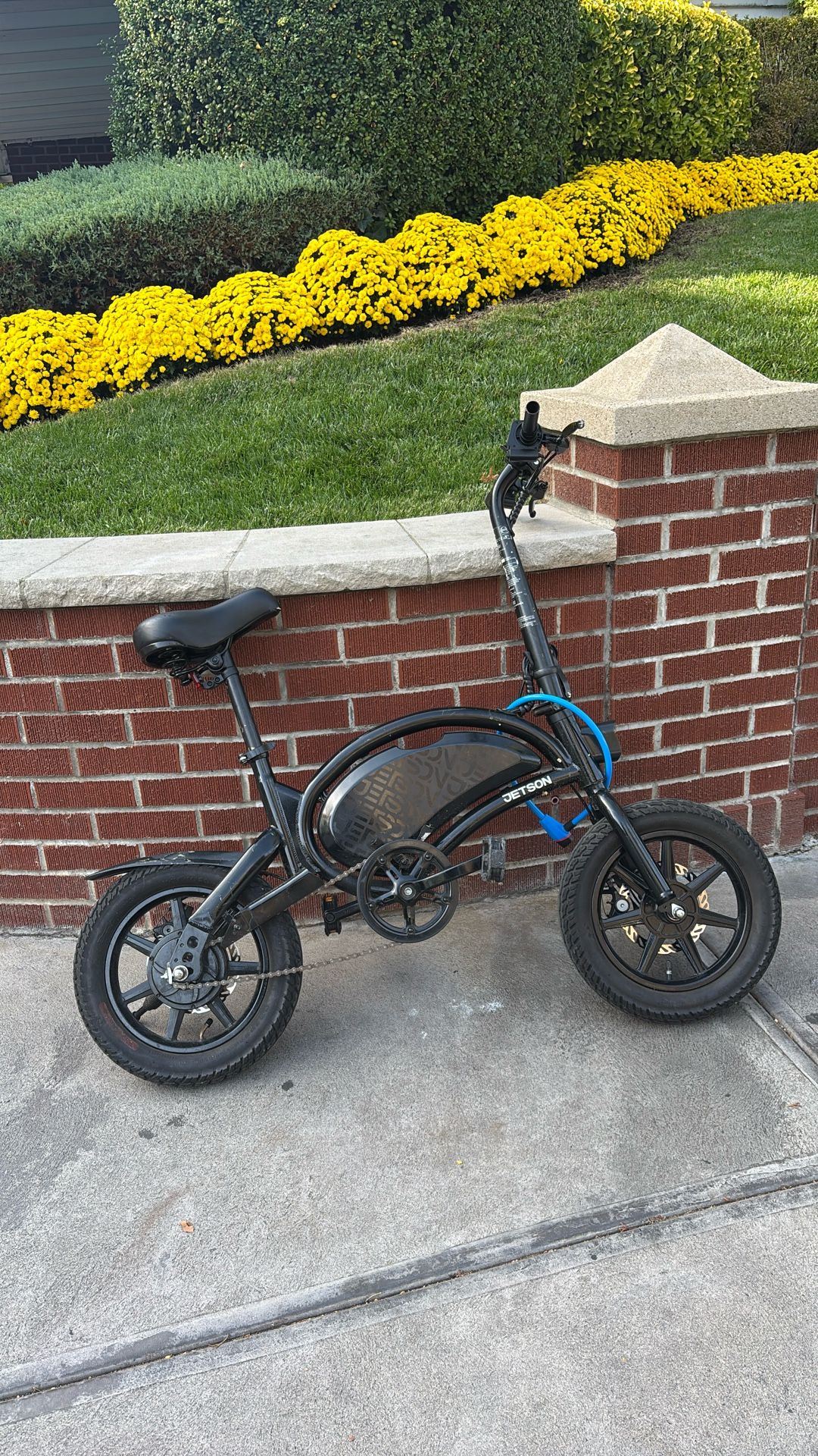 JETSON Bolt Pro