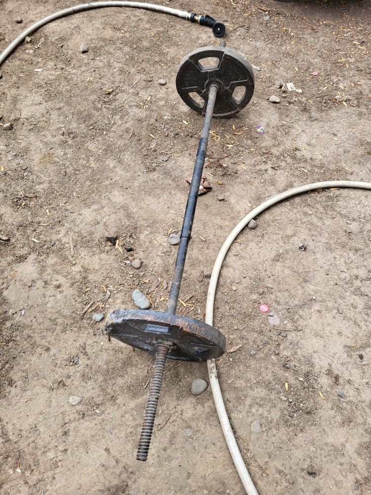 Weights