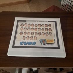 1976 CHICAGO CUBS TEAM - 1977 CHICAGO CUBS TOPPS BASEBALL CARDS 