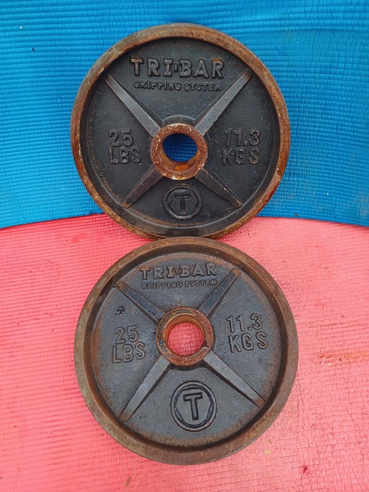 Tri Bar Deep Dish Olympic Size Weight Plates!!