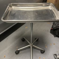 Stainless Steel Salon Tray