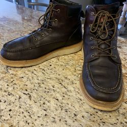 Red Wings Irish Setter