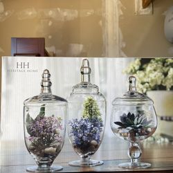 3 Pack Glass Candy/ Decor Jars