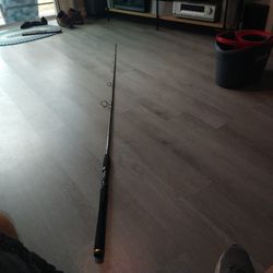 Penn Fishing Rod