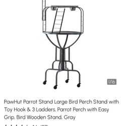Bird stand