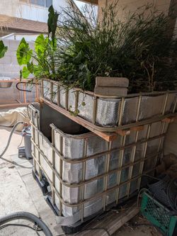 Aquaponic system