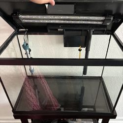 20 gallon tank with filitration, extra filters included, and heater