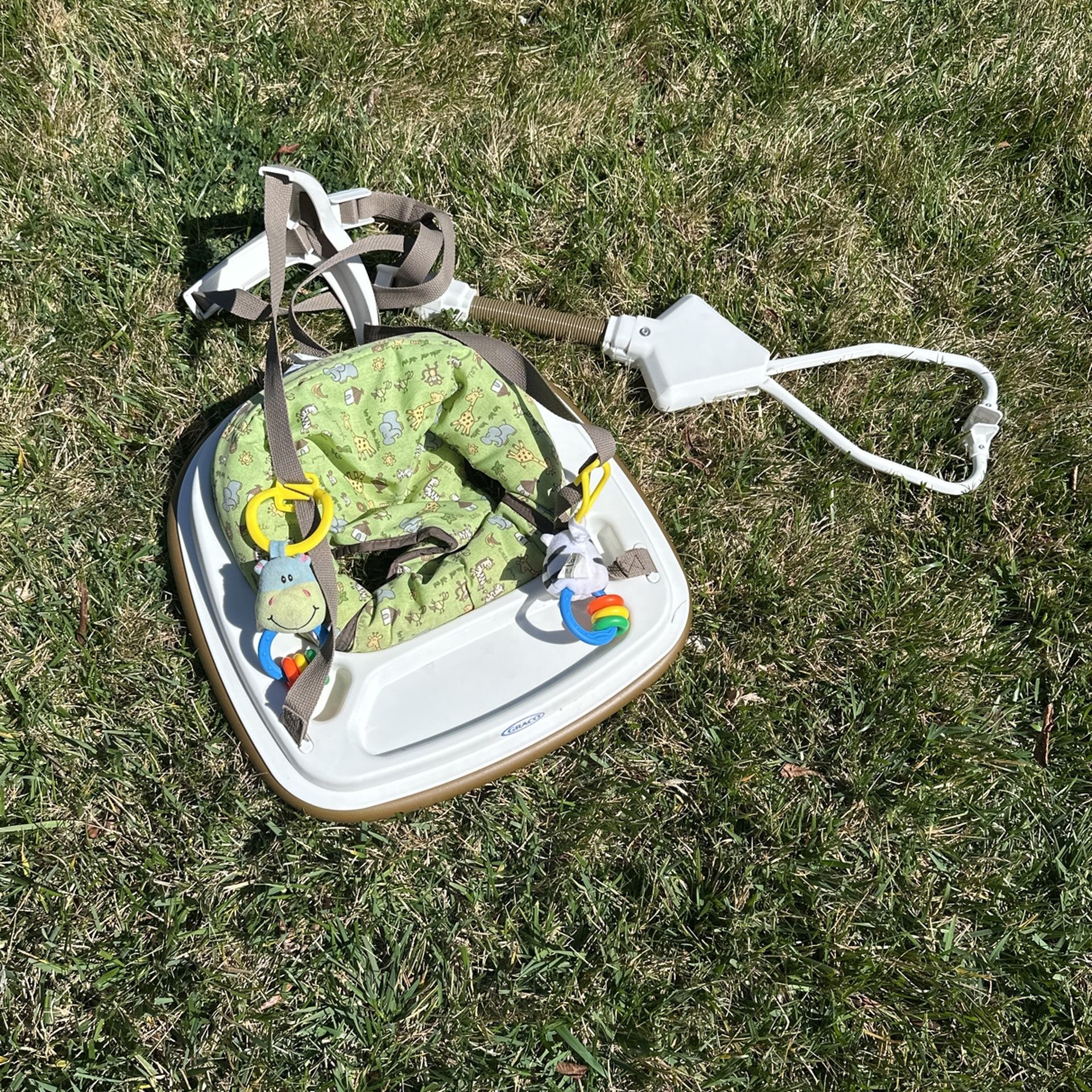 Graco Baby Jumper