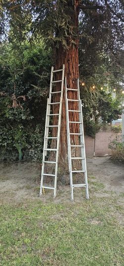 Two 14' Aluminum Extension Ladders