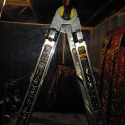 25FT 9 IN Gorilla Ladders Max. I'll Load Capacity 300LB