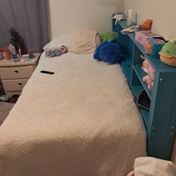 Twin Kids Bed With Twin Pullout