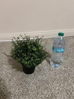 IKEA Artificial Plant