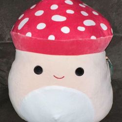Squishmallow 