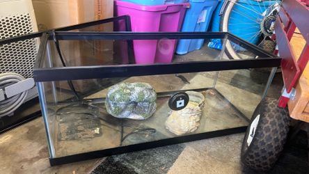 19 gallon large fish/reptile aquarium