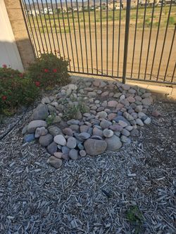 Free rocks